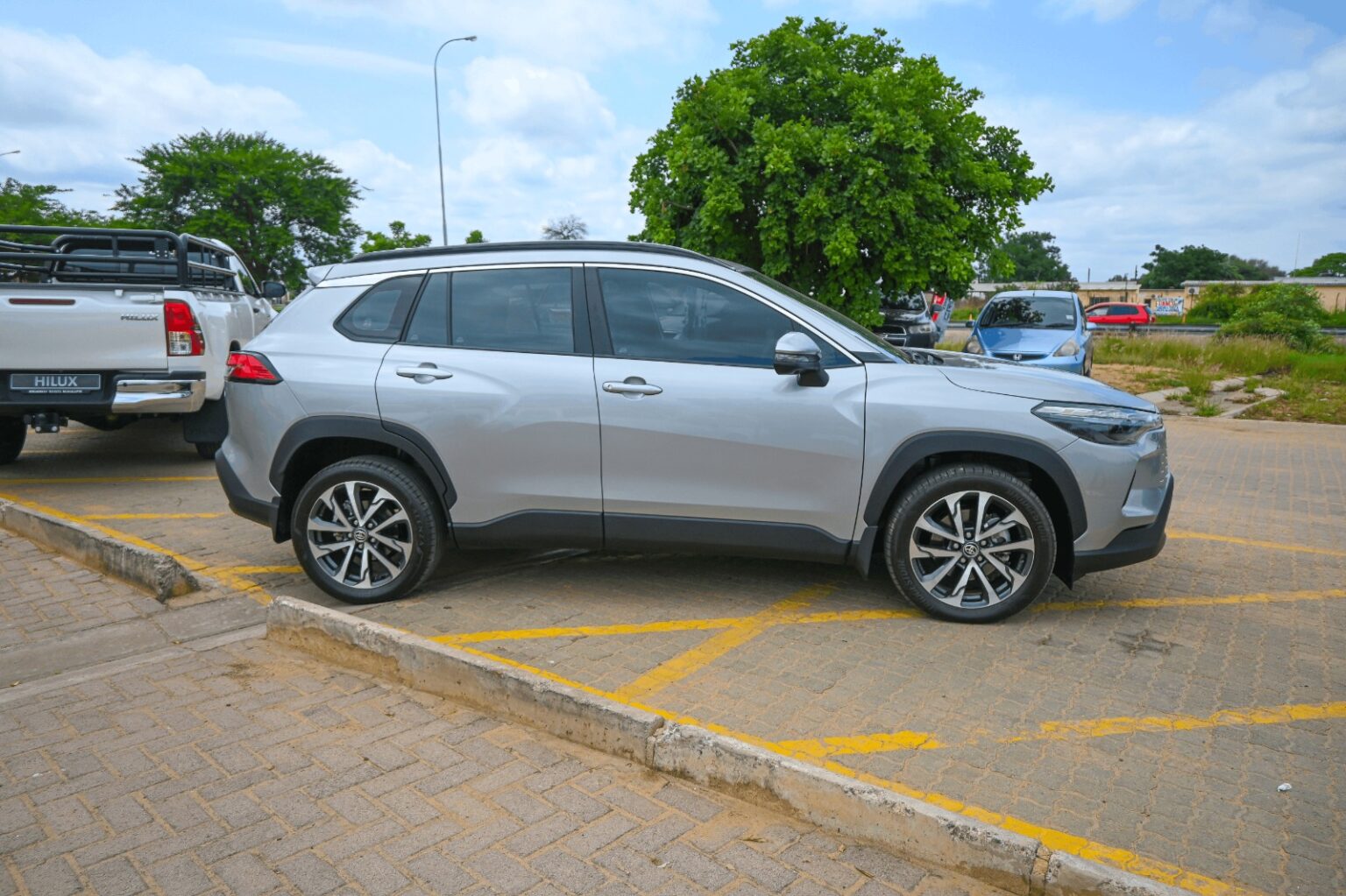 WhatsApp Image 2026-02-17 at 08.05.40